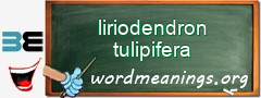 WordMeaning blackboard for liriodendron tulipifera
